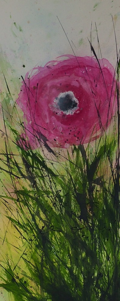 Kunst Natur | Mohn in Pink | 40x100cm | © Ingrid Studer Fineart